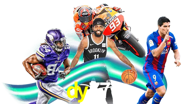 dy777